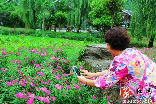 中國旅游日：張家界黃龍洞廣場“花花世界”喜迎游人（組圖）