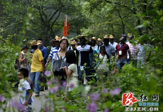 張家界核心景區(qū)武陵源迎最火暑期